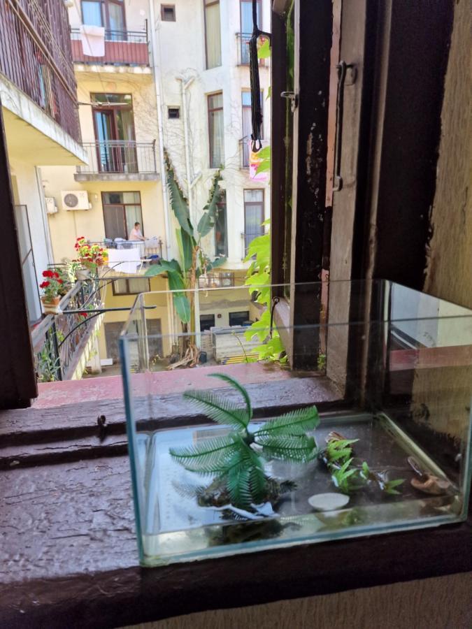Apartment In باتومي المظهر الخارجي الصورة